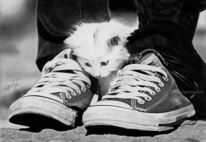 caught_between_two_shoes_by_rajacenna